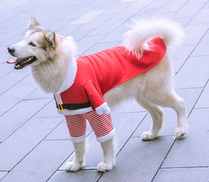 Dettaglio del costume da Babbo Natale per animali con cappotto in pile rosso per cani grandi