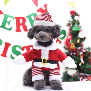 Dettaglio del costume da Babbo Natale per animali in morbido pile con gambe a righe