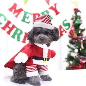 Set natalizio 3 pezzi per cani con cappello a righe, mantello rosso e scaldamuscoli