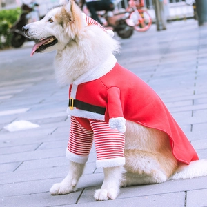Cane Golden Retriever con vestito rosso natalizio da Babbo Natale e cappello