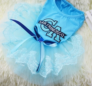 Robe bleu ciel pour animaux avec jupe en dentelle, nœud en soie et broderie chic