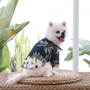 Close-up of a Pomeranian dog wearing a pineapple print tropical pet summer shirt