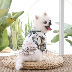 Hawaiian style dog shirt with pineapple print on a white Pomeranian in a garden