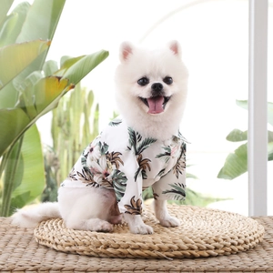 Close-up of small white dog wearing a tropical palm leaf print Hawaiian shirt on a straw mat