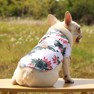 Detail view of a French Bulldog wearing a tropical pineapple print pet shirt outdoors