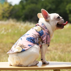 French Bulldog wearing a pink Hawaiian pineapple print shirt in a summer outdoor setting