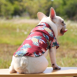Detail of red Hawaiian dog shirt featuring pineapple print on light cotton fabric