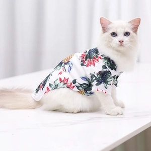 Close-up of lightweight pineapple print summer shirt on a white cat for pets