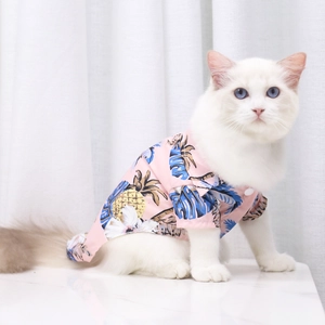 Pink pet Hawaii shirt with pineapple and blue leaf pattern on a white cat