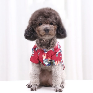 Macro view of floral pet dog shirt with tropical pineapple print and button-up detail