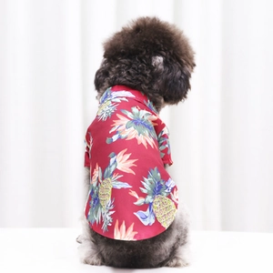 Detail of thin red pet dog shirt with tropical pineapple and floral prints on a poodle