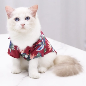 Detail of red Hawaiian pet shirt with floral prints on a white cat model