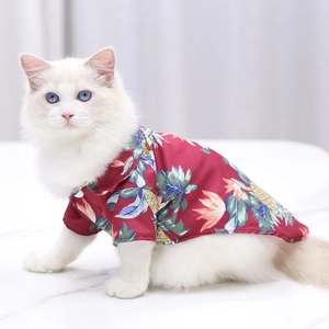 Close-up of tropical pineapple print on red summer pet shirt for cats and small dogs