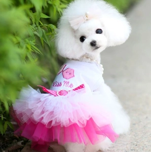 Detail of a pink tutu pet dress featuring Kiss Me embroidery and a polka dot bow tie