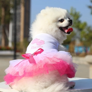 Detail of pink gradient mesh tutu pet dress featuring Kiss Me print and a cute bow