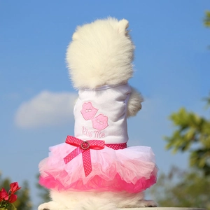Pink tulle pet princess dress with Kiss Me embroidery for dogs and cats outdoors