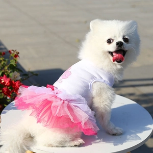 Detail of pet princess dress featuring layered pink gradient mesh and pink polka dot bow