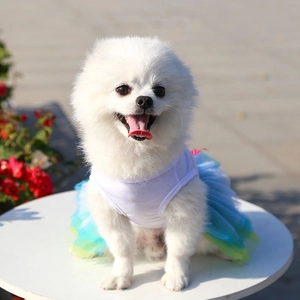 Detail of pet summer dress with white cotton top and blue-green gradient tulle tutu skirt