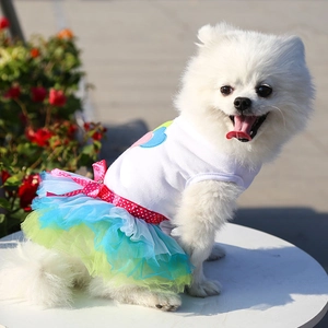 Detail view of pet dress featuring layered mesh skirt with polka dot bow and heart patch