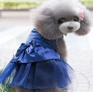 Donkerblauw hondenvet met satijnen strik en gelaagde rok van gaas voor kleine honden