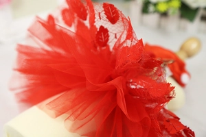 Detail of red tiered tulle pet dress with shimmering leaf-shaped sequins and rich textures