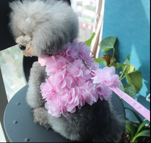 Détail du harnais rose à fleurs en mesh 3D et ensemble de laisse pour petits chiens
