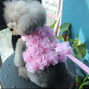Ensemble de Harnais et Laisse pour Animaux de Compagnie avec Fleurs 3D pour Petits Chiens Chats Harnais Veste en Maille Rose Respirant avec Décoration Florale
