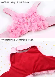 Harnais pour chat avec fleurs 3D roses, doublure en polaire rouge et fermeture velcro