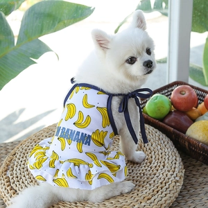 Detalle de vestido para perro con estampado de plátano y volantes en un modelo de Pomerania