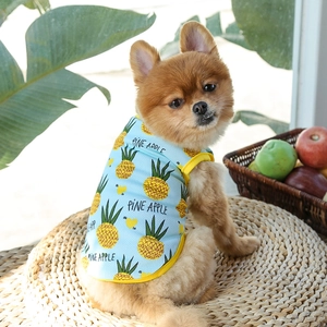 Detalle de chaleco de malla transpirable azul claro con estampado de piña amarilla para perro