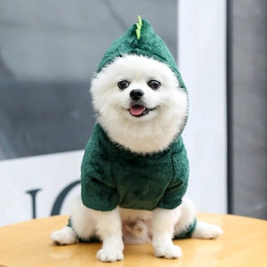 Detail of warm dinosaur pet hoodie in dark green flannel for small dogs and cats