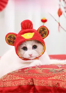 Festive God of Wealth pet hat with embroidery and gold ingot patterns for cats