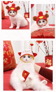 Detail of plush Lunar New Year pet hats featuring God of Wealth and Lucky Cat designs