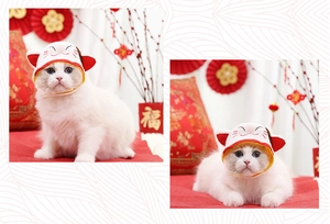Detail of cute fortune cat pet hat for cats and dogs with festive red background