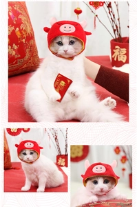 Close-up of red plush pet New Year hat with ox horns and festive Chinese decorations