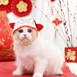 Lucky cat style pet hat for cats and small dogs during Chinese New Year celebrations