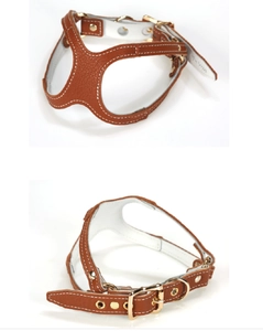Detail of brown litchi leather dog harness with white stitching and gold metal buckle