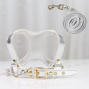 Detail of silver faux leather dog harness and leash set with golden metal hardware