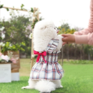 Robe pour chien à carreaux rose et bleu avec nœud en satin et bretelles à volants