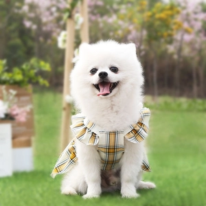 Détail de la robe à carreaux jaune et bleu pour animal avec volants sur un petit chien