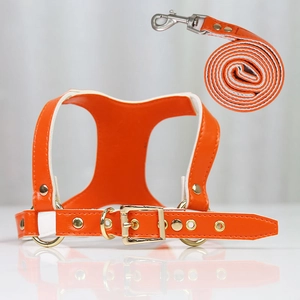 Close-up of orange PU leather pet harness with gold metal hardware and soft white lining