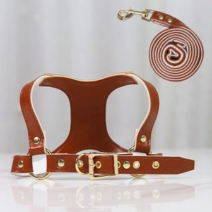 Detail of brown leather pet harness set with gold metal buckles and white lining