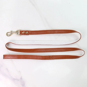 Close-up of brown leather pet leash with reinforced white canvas and gold metal buckle
