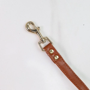 Macro detail of the brown leather dog leash with high-quality golden swivel lobster clasp
