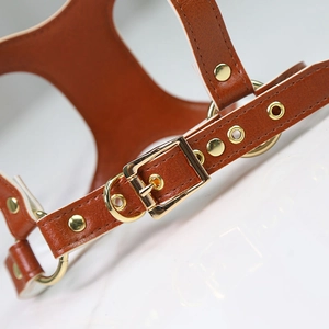 Detail of brown leather pet harness with golden metal hardware and white stitching