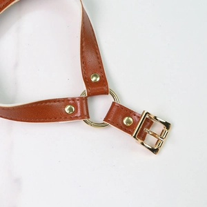 Detail of brown leather pet harness with reinforced gold studs and white lining