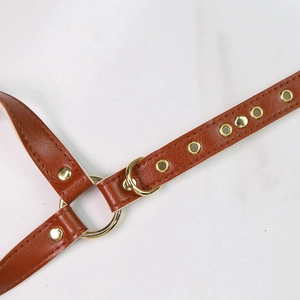 Macro detail of brown leather dog harness with gold metal rings and rivets