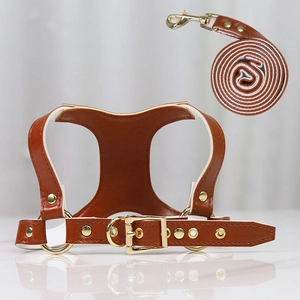 Brown faux leather dog harness and leash set with adjustable gold metal hardware