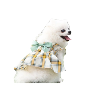 Loulou de Poméranie en robe à carreaux jaunes avec nœud en satin vert pour l'été