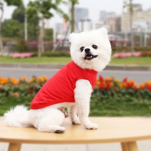 Outdoor shot of a small white dog wearing a breathable red cotton pet vest with round neck